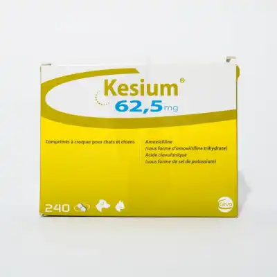 Kesium 62,5mg Comprimés Sécable B/240