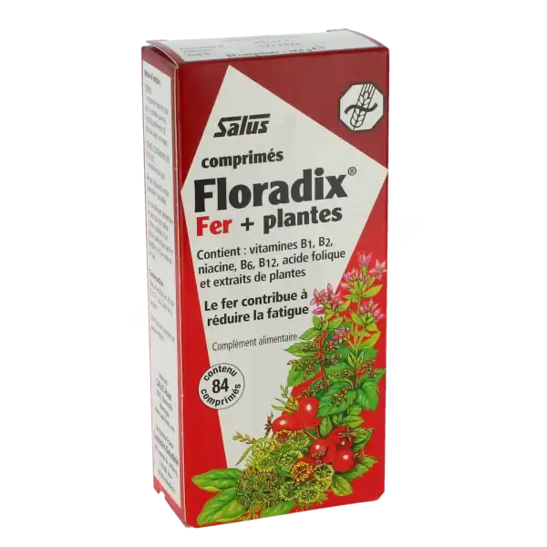 Floradix Fer+plantes Comprimés Vigueur énergie B/84