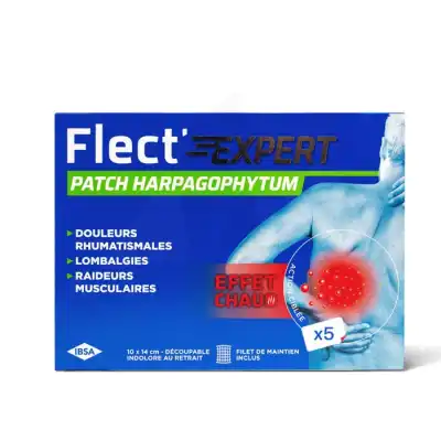 Flect'expert Patch Chaud B/5 à VILLEMUR SUR TARN