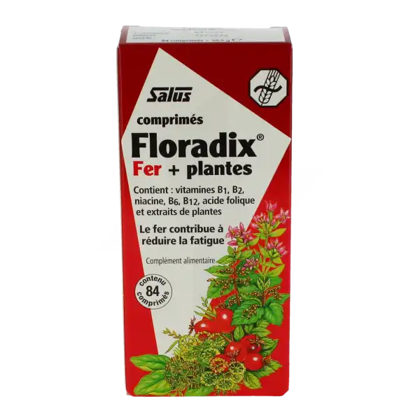 Floradix Fer+plantes Comprimés Vigueur énergie B/84