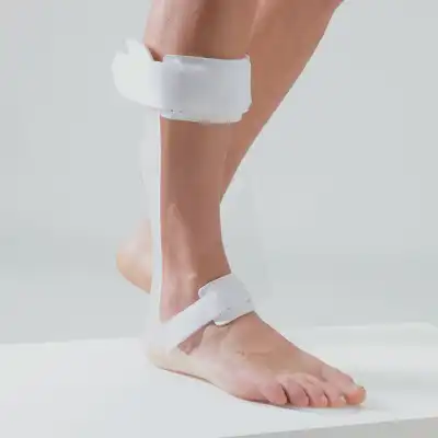 Gibaud - Releveur De Pied Thermoplastique - Pied Droit- Taille 2d à CANEJAN