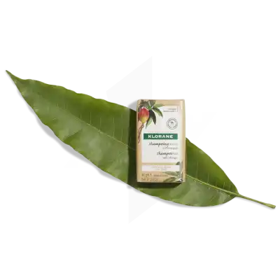 Klorane Capillaire Shampooing Solide Nutrition Mangue B/80g à RUMILLY
