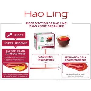 Thés De La Pagode Hao Ling Bio Thé Cholestérol Digestion 30 Sachets/2,5g