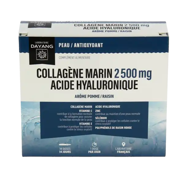 Dayang Collagène Marin Acide Hyaluronique S Buv 14unidoses