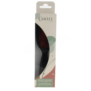 Cartel Brosse Cheveux Pneumatique Sanglier Picot Nylon
