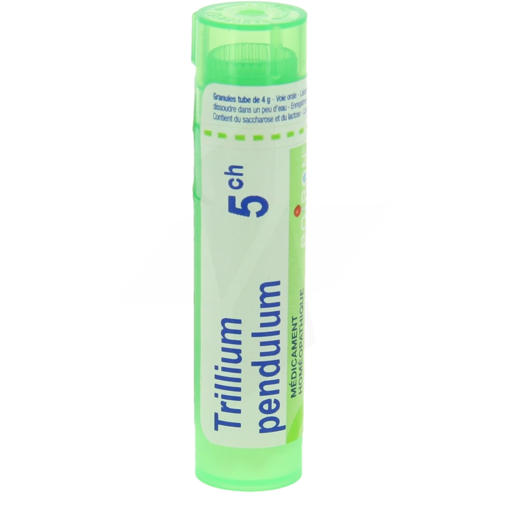 Boiron Trillium Pendulum 5ch Granules Tube De 4g