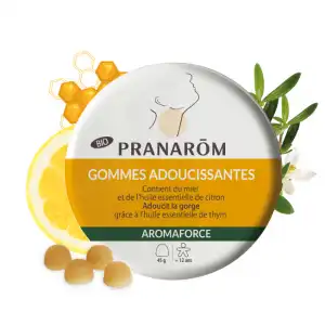 Aromaforce Gomme Miel Citron Bio B/45g à SAINT-SAENS