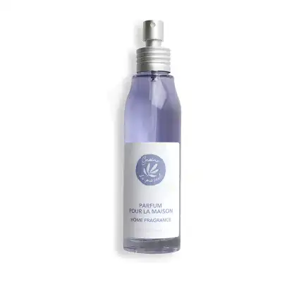 Graine De Pastel Parfum Pour La Maison 100ml à Mérignac