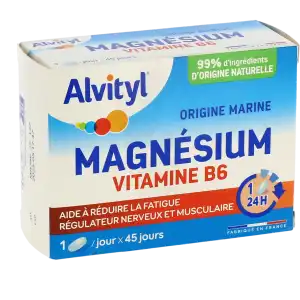 Govital Magnésium Vitamine B6 Comprimés B/45 à AMBARÈS-ET-LAGRAVE