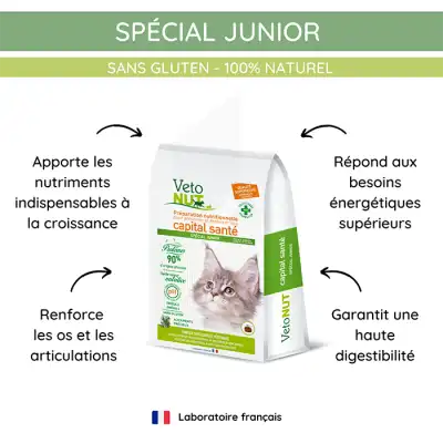 Vétonut Croquettes Pour Chat « spécial Junior » Carton à Espaly-Saint-Marcel