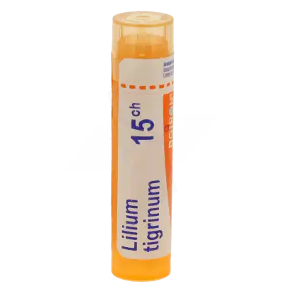 Boiron Lilium Tigrinum 15ch Granules Tube De 4g à MONTAIGUT-SUR-SAVE