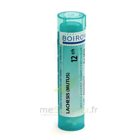 Boiron Lachesis Mutus 12ch Granules Tube De 4g