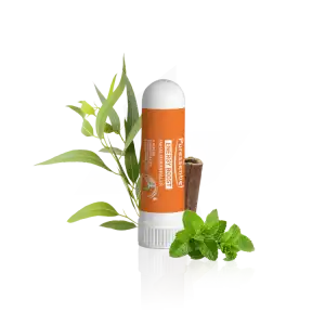 Puressentiel Articulations & Muscles Inhaleur Energy Boost 1ml à Mûrs-Erigné