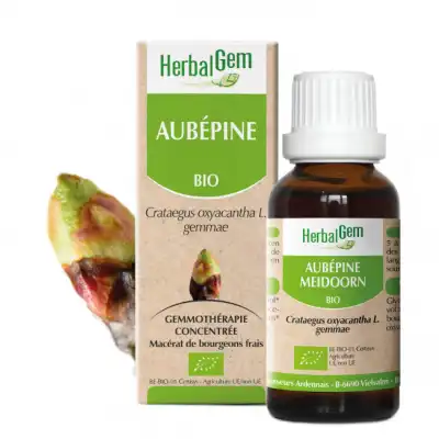 Herbalgem Aubépine Macérat Bio Fl Compte-gouttes/30ml à FLEURANCE