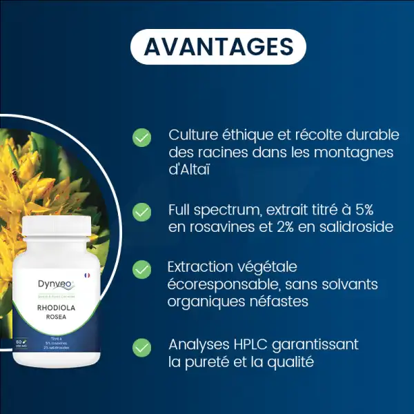 Dynveo Rhodiola Rosea 5% Rosavines Et 2% Salidrosides 350mg 60 Gélules