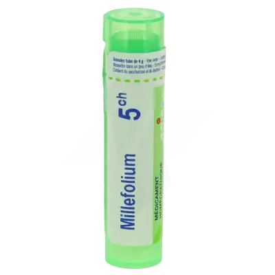 Boiron Millefolium 5ch Granules Tube De 4g à Puy-en-Velay