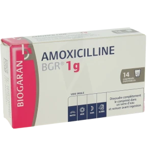 Amoxicilline Bgr 1 G, Comprimé Dispersible
