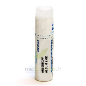 Boiron Arsenicum Album 1mk Globules Dose De 1g