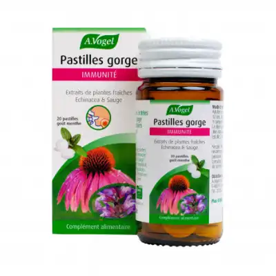 A.Vogel Echinaforce Pastilles Gorge Pastilles B/20
