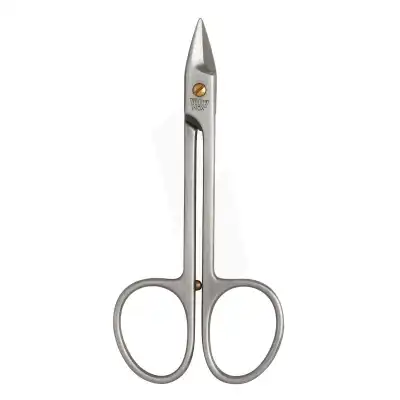 Menhir Ciseaux Pédicure Pour Ongles Forts Inox à Avignon