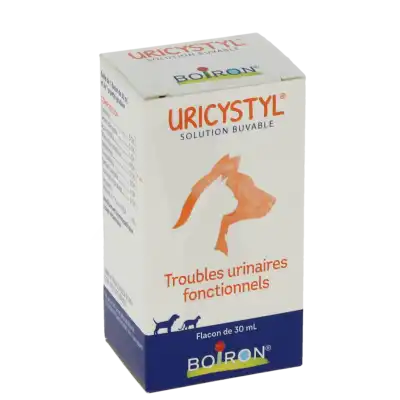 URICYSTYL, Solution buvable