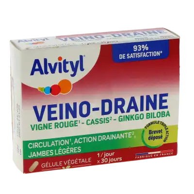 Alvityl Veinodraine Comprimés Boîte De 30 à SOUILLAC