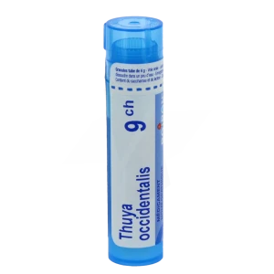 Boiron Thuya Occidentalis 9ch Granules Tube De 4g