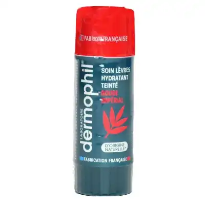 Dermophil Indien Stick Soin Teinté Rouge Impérial 4g à ODOS