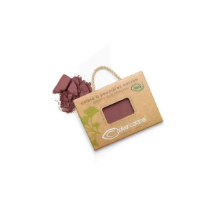 Couleur Caramel Recharge Ombre à Paupières N°100 Fatale Nacrée 1,7g