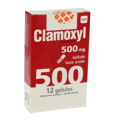 Clamoxyl 500 Mg, Gélule à Osny