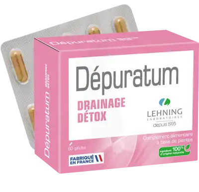 Lehning Dépuratum Gélules Drainage Détox B/60 à Le Breuil
