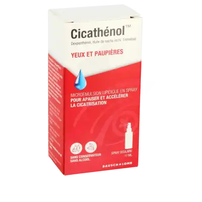 Cicathenol Spray Oculaire Fl/17ml à Bordeaux