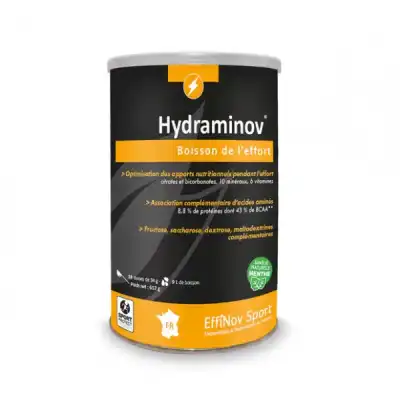 Effinov Nutrition Hydraminov Boisson Effort Menthe Pot/18 Doses à BIGANOS