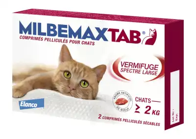 Milbemaxtab Comprimés Chat B/2 à Bordeaux