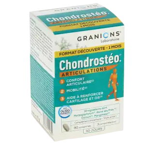 Chondrosteo+ Comprimés B/90 à GRENOBLE