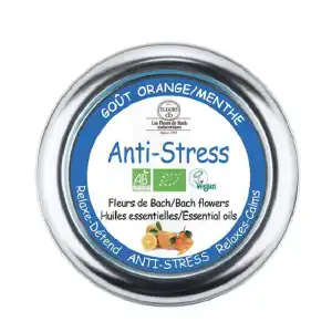 Elixirs & Co Pastilles Anti-stress Menthe Orange Bio B/45g à La Mézière
