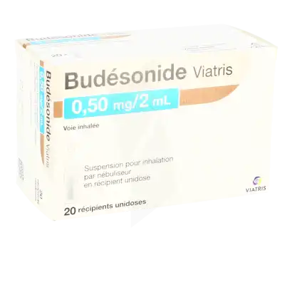 Budesonide Viatris 0,50 Mg/2 Ml, Suspension Pour Inhalation Par Nébuliseur En Récipient Unidose à Paris