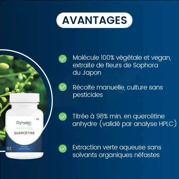 Dynveo Quercetine Anhydre Pure 500mg 60 Gélules