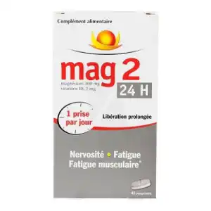 Mag 2 24h Comprimés Lp Nervosité Et Fatigue B/45 à BAR-SUR-SEINE