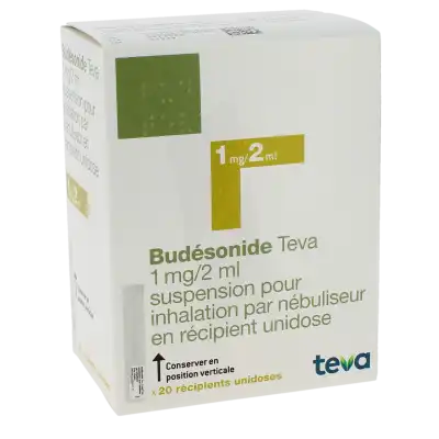 Budesonide Teva 1 Mg/2 Ml, Suspension Pour Inhalation Par Nébuliseur En Récipient Unidose à Clermont-Ferrand