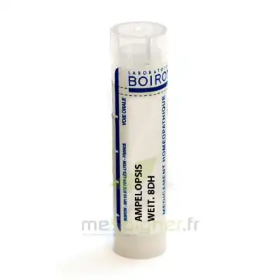 Boiron Ampelopsis Weit. 8dh Granules Tube De 4g à Agen