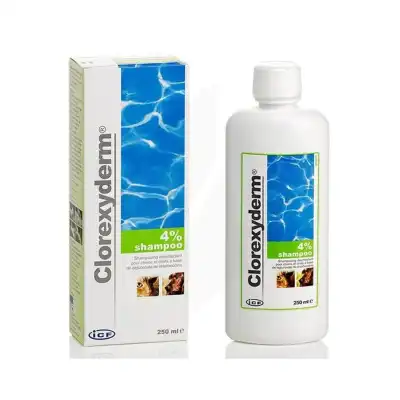 CLOREXYDERM 4 % Shampooing désinfectant chien/chat 250ml