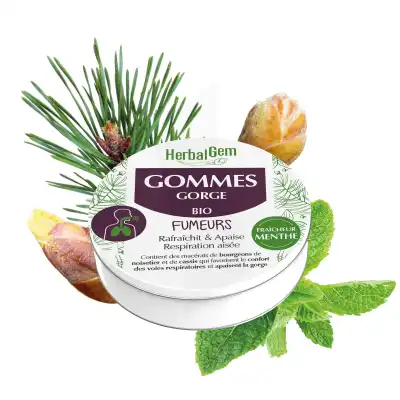 Herbalgem Gomme Gorge Bio Fumeurs B/45g à ROCHEMAURE