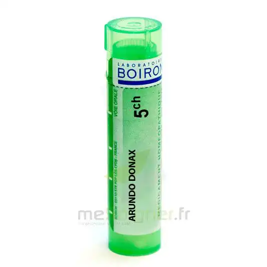 Boiron Arundo Donax 5ch Granules Tube De 4g
