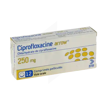 Ciprofloxacine Arrow 250 Mg, Comprimé Pelliculé à Casteljaloux