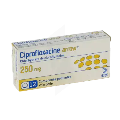 CIPROFLOXACINE ARROW 250 mg, comprimé pelliculé