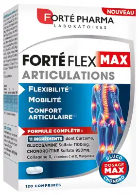 FORTE FLEX MAX ARTICULATIONS CPR B/120
