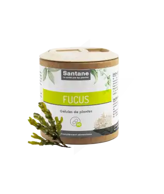 Santane Fucus Gélules De Poudre De Plantes 150mg B/60 à TALENCE