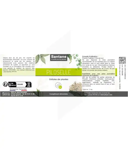 Santane Piloselle Gélules De Poudre De Plantes 110mg B/60