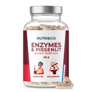 Nutri&co Enzymes & Pissenlit Gélules B/60 à Annemasse